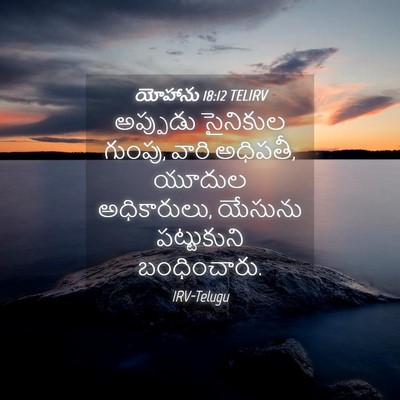 Picture 04 - యోహాను 18:12 TELIRV - అప్పుడు సైనికుల - Bible Verse Picture