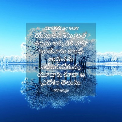 Picture 04 - యోహాను 18:2 TELIRV - యేసు తన శిష్యులతో - Bible Verse Picture