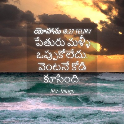 Picture 04 - యోహాను 18:27 TELIRV - పేతురు మళ్ళీ - Bible Verse Picture