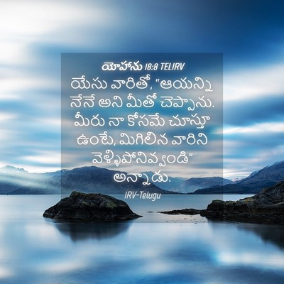 Picture 04 - యోహాను 18:8 TELIRV - యేసు వారితో, - Bible Verse Picture