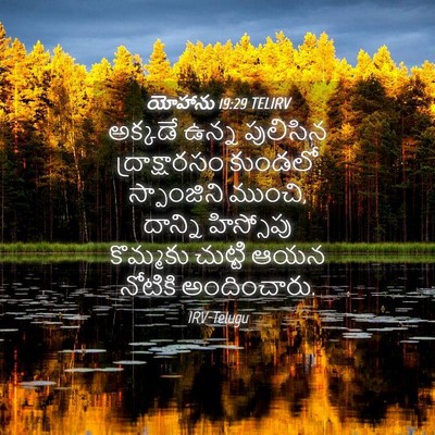 Picture 04 - యోహాను 19:29 TELIRV - అక్కడే ఉన్న - Bible Verse Picture