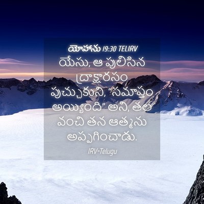 Picture 04 - యోహాను 19:30 TELIRV - యేసు, ఆ పులిసిన - Bible Verse Picture