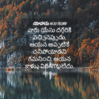 Picture 04 - యోహాను 19:33 TELIRV - వారు యేసు - Bible Verse Picture