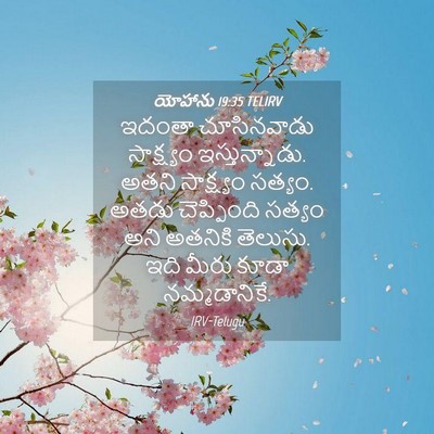 Picture 04 - యోహాను 19:35 TELIRV - ఇదంతా చూసినవాడు - Bible Verse Picture