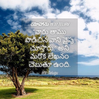Picture 04 - యోహాను 19:37 TELIRV - “వారు తాము - Bible Verse Picture