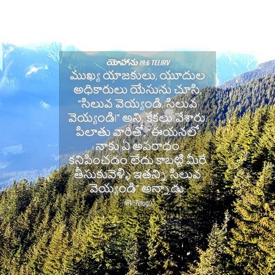 Picture 04 - యోహాను 19:6 TELIRV - ముఖ్య యాజకులు, - Bible Verse Picture