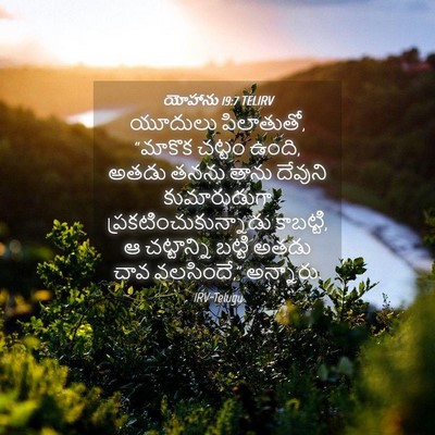 Picture 04 - యోహాను 19:7 TELIRV - యూదులు పిలాతుతో, - Bible Verse Picture