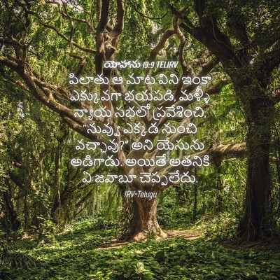 Picture 04 - యోహాను 19:9 TELIRV - పిలాతు ఆ మాట విని - Bible Verse Picture