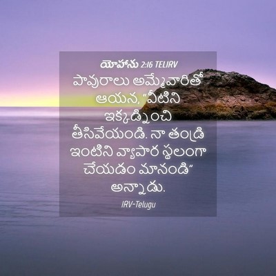 Picture 04 - యోహాను 2:16 TELIRV - పావురాలు - Bible Verse Picture