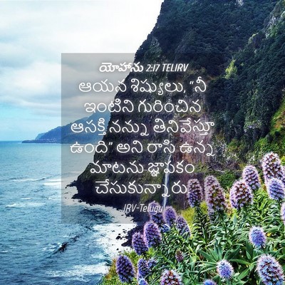 Picture 04 - యోహాను 2:17 TELIRV - ఆయన శిష్యులు, “నీ - Bible Verse Picture