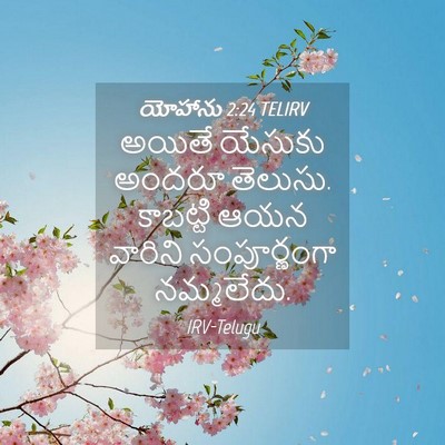 Picture 04 - యోహాను 2:24 TELIRV - అయితే యేసుకు - Bible Verse Picture