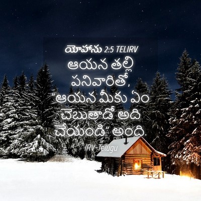 Picture 04 - యోహాను 2:5 TELIRV - ఆయన తల్లి - Bible Verse Picture