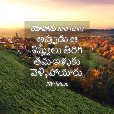 Picture 04 - యోహాను 20:10 TELIRV - అప్పుడు ఆ - Bible Verse Picture