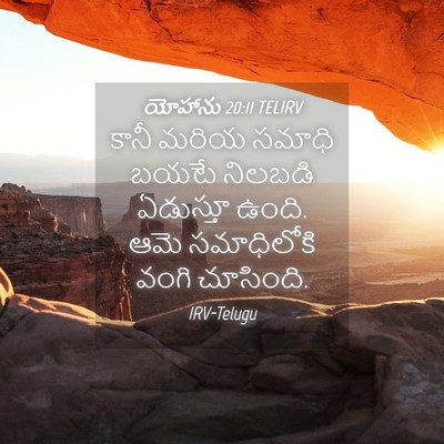 Picture 04 - యోహాను 20:11 TELIRV - కానీ మరియ సమాధి - Bible Verse Picture
