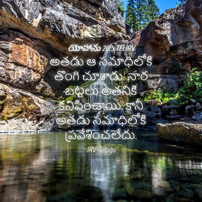 Picture 04 - యోహాను 20:5 TELIRV - అతడు ఆ సమాధిలోకి - Bible Verse Picture