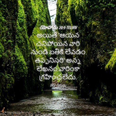 Picture 04 - యోహాను 20:9 TELIRV - అయితే ‘ఆయన - Bible Verse Picture