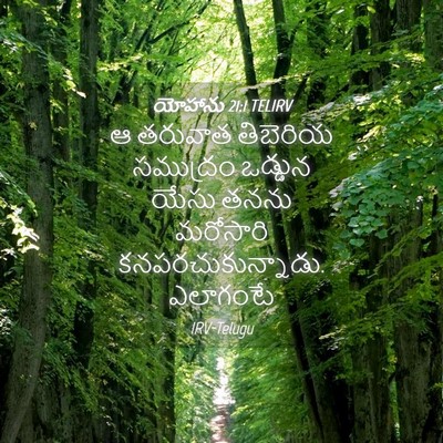 Picture 04 - యోహాను 21:1 TELIRV - ఆ తరువాత తిబెరియ - Bible Verse Picture