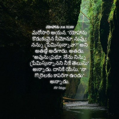 Picture 04 - యోహాను 21:16 TELIRV - మరోసారి ఆయన, - Bible Verse Picture