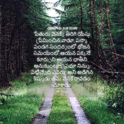 Picture 04 - యోహాను 21:20 TELIRV - పేతురు వెనక్కి - Bible Verse Picture