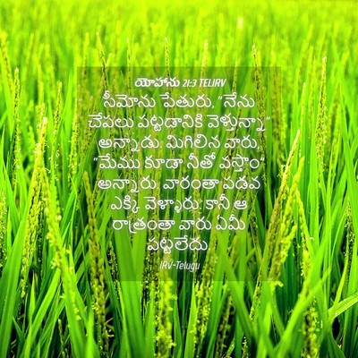 Picture 04 - యోహాను 21:3 TELIRV - సీమోను పేతురు, - Bible Verse Picture