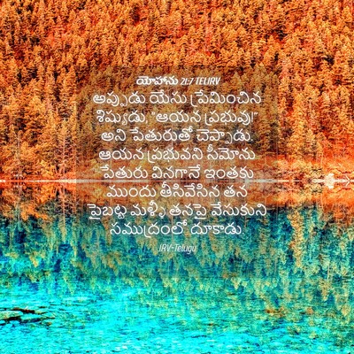 Picture 04 - యోహాను 21:7 TELIRV - అప్పుడు యేసు - Bible Verse Picture