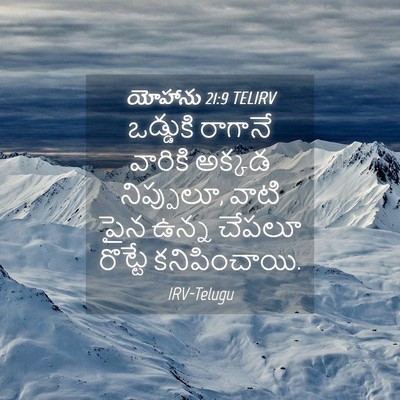Picture 04 - యోహాను 21:9 TELIRV - ఒడ్డుకి రాగానే - Bible Verse Picture