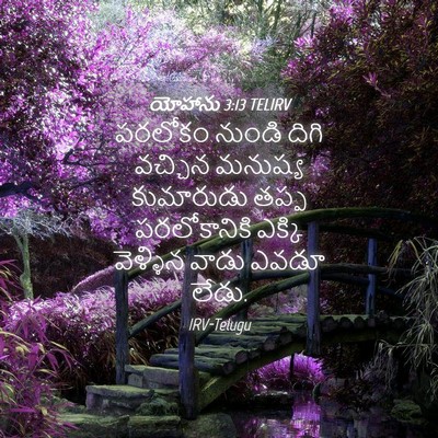 Picture 04 - యోహాను 3:13 TELIRV - పరలోకం నుండి దిగి - Bible Verse Picture
