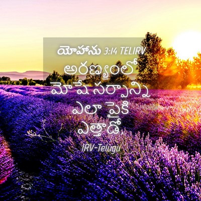 Picture 04 - యోహాను 3:14 TELIRV - అరణ్యంలో మోషే - Bible Verse Picture