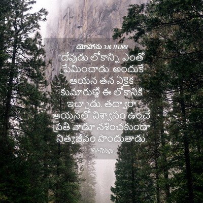 Picture 04 - యోహాను 3:16 TELIRV - “దేవుడు లోకాన్ని - Bible Verse Picture
