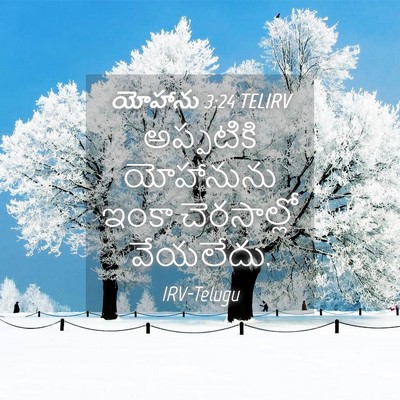 Picture 04 - యోహాను 3:24 TELIRV - అప్పటికి యోహానును - Bible Verse Picture