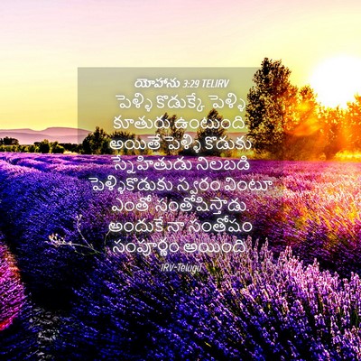 Picture 04 - యోహాను 3:29 TELIRV - పెళ్ళి కొడుక్కే - Bible Verse Picture