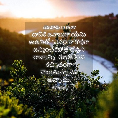 Picture 04 - యోహాను 3:3 TELIRV - దానికి జవాబుగా - Bible Verse Picture