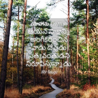 Picture 04 - యోహాను 3:33 TELIRV - ఆయన సాక్షాన్ని - Bible Verse Picture