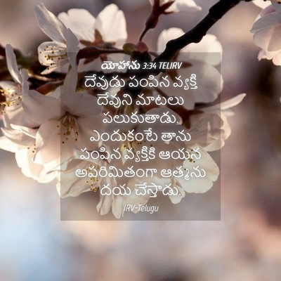 Picture 04 - యోహాను 3:34 TELIRV - దేవుడు పంపిన - Bible Verse Picture