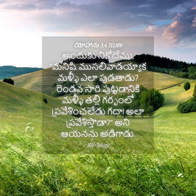 Picture 04 - యోహాను 3:4 TELIRV - అందుకు నికోదేము, - Bible Verse Picture