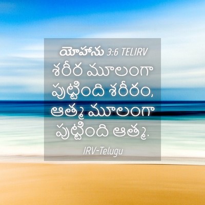 Picture 04 - యోహాను 3:6 TELIRV - శరీర మూలంగా - Bible Verse Picture