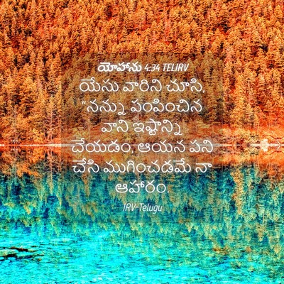 Picture 04 - యోహాను 4:34 TELIRV - యేసు వారిని చూసి, - Bible Verse Picture