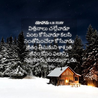 Picture 04 - యోహాను 4:36 TELIRV - విత్తనాలు - Bible Verse Picture