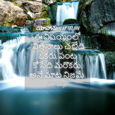 Picture 04 - యోహాను 4:37 TELIRV - ఈ విషయంలో - Bible Verse Picture