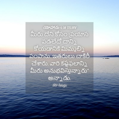 Picture 04 - యోహాను 4:38 TELIRV - మీరు దేని కోసం - Bible Verse Picture