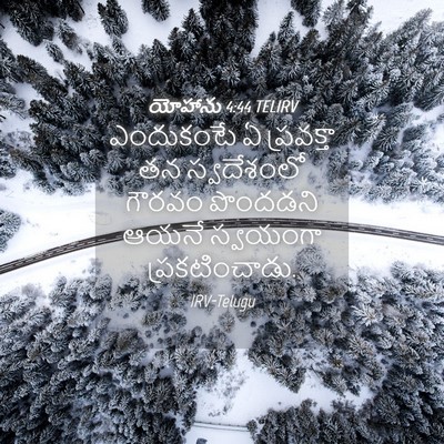 Picture 04 - యోహాను 4:44 TELIRV - ఎందుకంటే ఏ - Bible Verse Picture