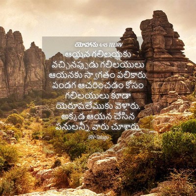 Picture 04 - యోహాను 4:45 TELIRV - ఆయన గలిలయకు - Bible Verse Picture