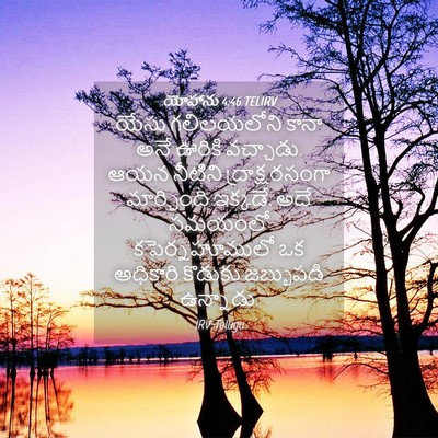 Picture 04 - యోహాను 4:46 TELIRV - యేసు గలిలయలోని - Bible Verse Picture