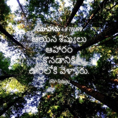 Picture 04 - యోహాను 4:8 TELIRV - ఆయన శిష్యులు - Bible Verse Picture
