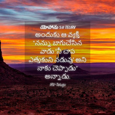 Picture 04 - యోహాను 5:11 TELIRV - అందుకు ఆ వ్యక్తి, - Bible Verse Picture