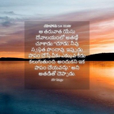Picture 04 - యోహాను 5:14 TELIRV - ఆ తరువాత యేసు - Bible Verse Picture