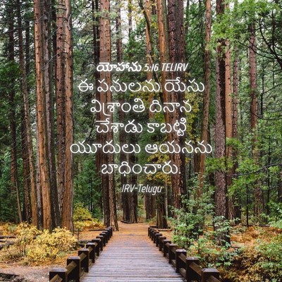 Picture 04 - యోహాను 5:16 TELIRV - ఈ పనులను యేసు - Bible Verse Picture