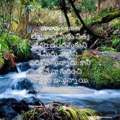 Picture 04 - యోహాను 5:39 TELIRV - లేఖనాల్లో మీకు - Bible Verse Picture