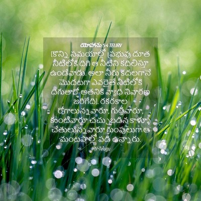 Picture 04 - యోహాను 5:4 TELIRV - (కొన్ని సమయాల్లో - Bible Verse Picture
