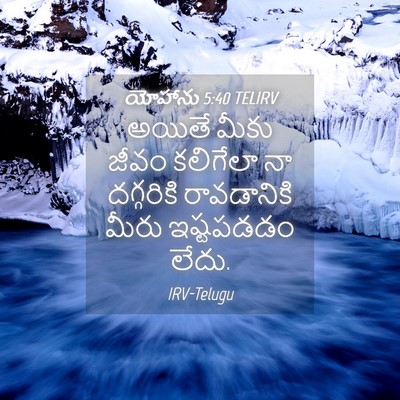 Picture 04 - యోహాను 5:40 TELIRV - అయితే మీకు జీవం - Bible Verse Picture